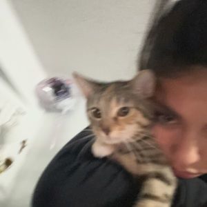 Meet your Posher, Dalia